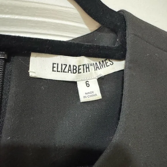 Elizabeth and James Black Mini Dress with Ostrich Feather Hem - Picture 5 of 6